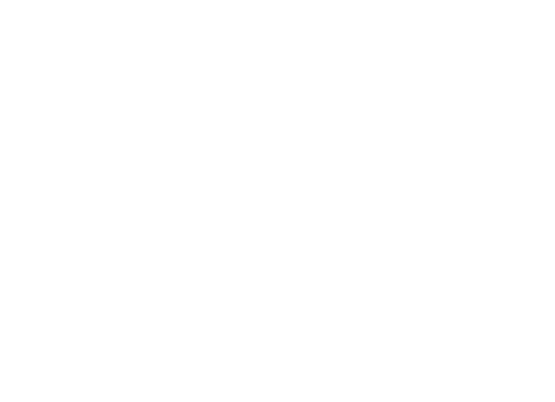 Seger Guitars